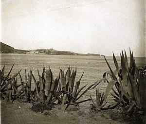 Mers-el-kebir 02
